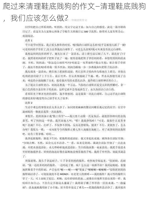 爬过来清理鞋底贱狗的作文—清理鞋底贱狗，我们应该怎么做？