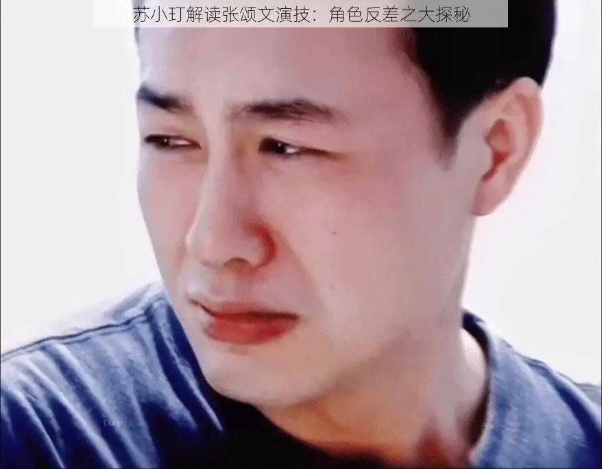 苏小玎解读张颂文演技：角色反差之大探秘