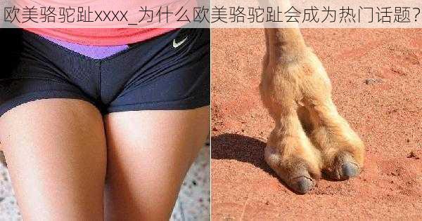 欧美骆驼趾xxxx_为什么欧美骆驼趾会成为热门话题？