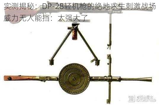 实测揭秘：DP-28轻机枪的绝地求生刺激战场威力无人能挡：太强大了