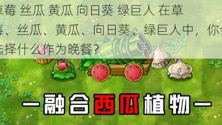 草莓 丝瓜 黄瓜 向日葵 绿巨人 在草莓、丝瓜、黄瓜、向日葵、绿巨人中,你会选择什么作为晚餐?