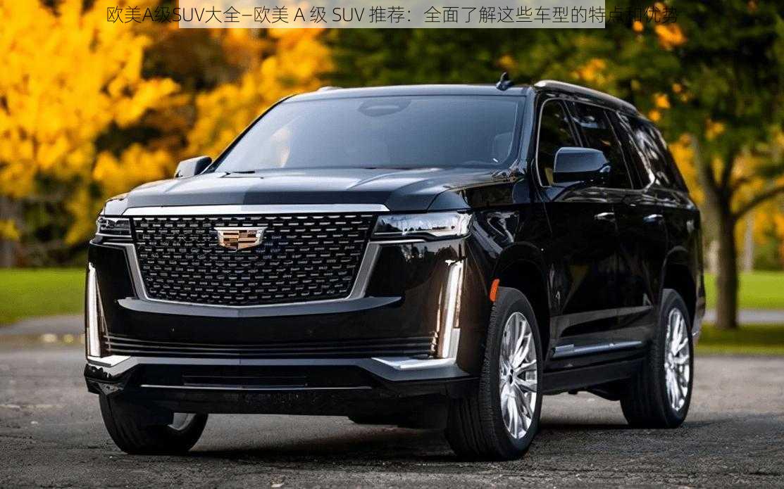 欧美A级SUV大全—欧美 A 级 SUV 推荐：全面了解这些车型的特点和优势