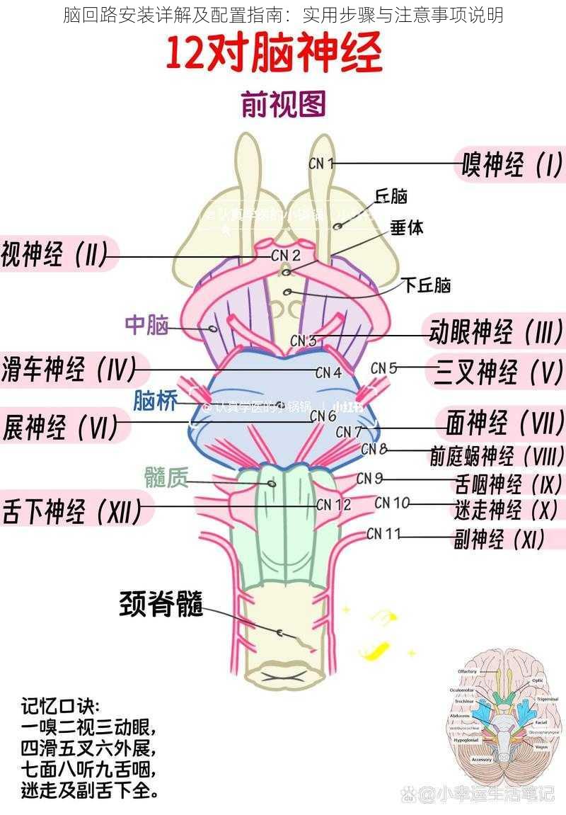 脑回路安装详解及配置指南：实用步骤与注意事项说明