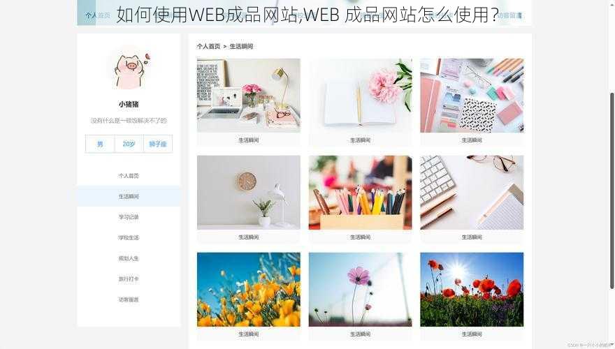 如何使用WEB成品网站,WEB 成品网站怎么使用？