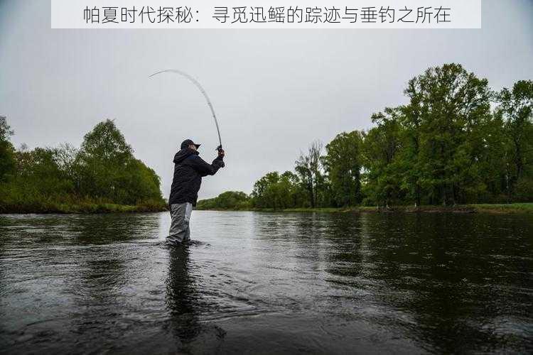 帕夏时代探秘：寻觅迅鳐的踪迹与垂钓之所在