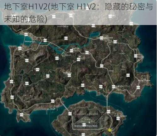 地下室H1V2(地下室 H1V2：隐藏的秘密与未知的危险)