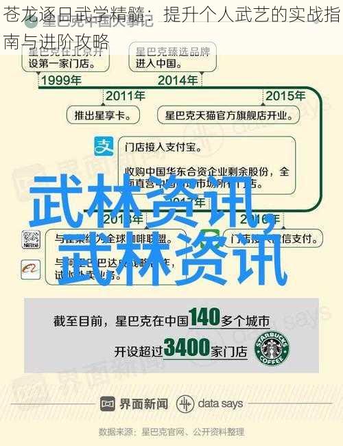 苍龙逐日武学精髓:提升个人武艺的实战指南与进阶攻略