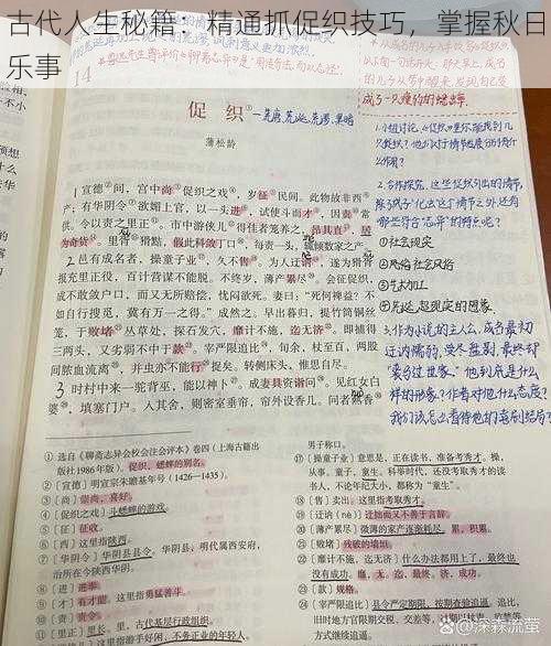 古代人生秘籍：精通抓促织技巧，掌握秋日乐事