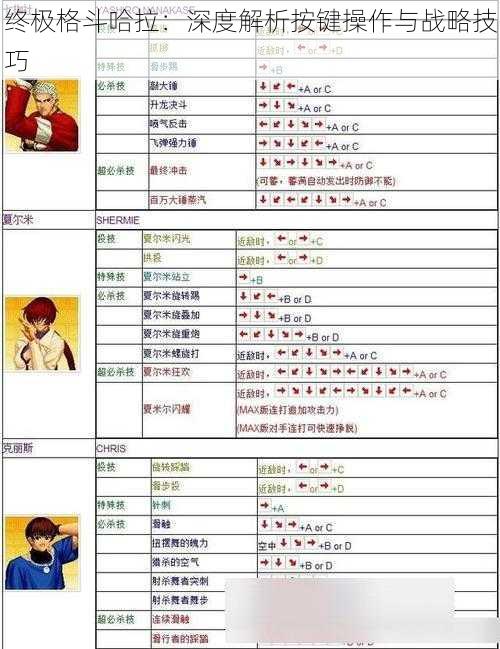 终极格斗哈拉：深度解析按键操作与战略技巧