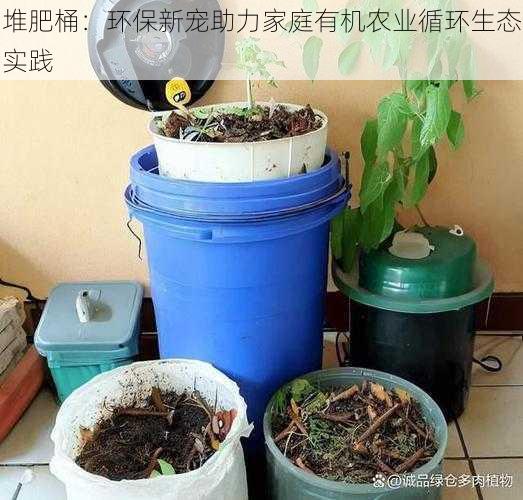 堆肥桶：环保新宠助力家庭有机农业循环生态实践