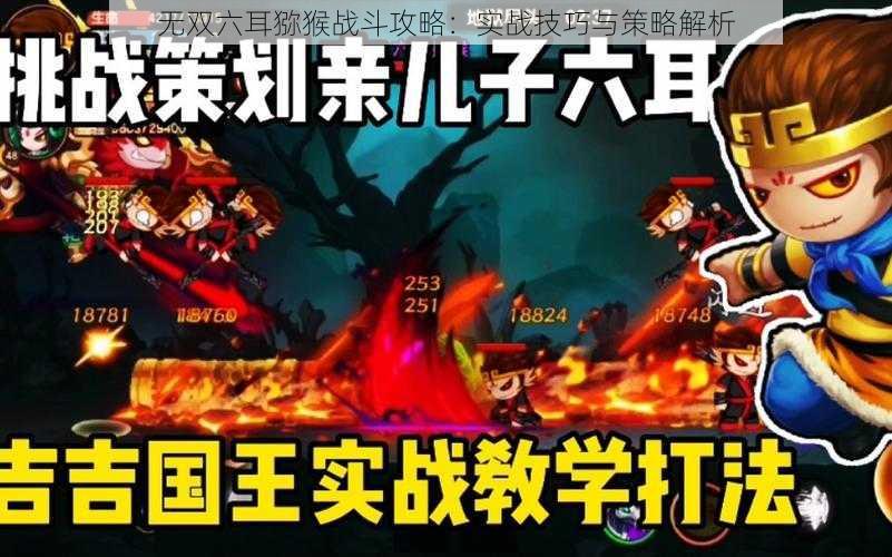 无双六耳猕猴战斗攻略：实战技巧与策略解析