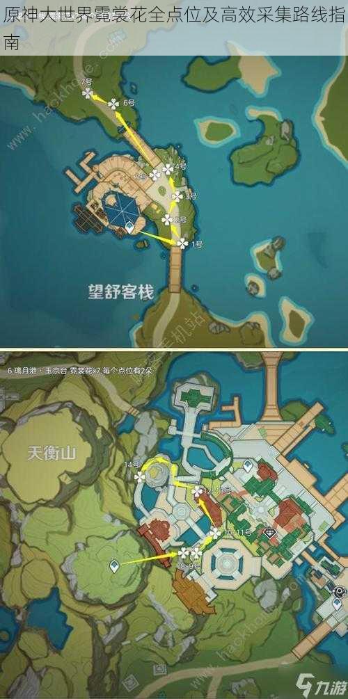 原神大世界霓裳花全点位及高效采集路线指南